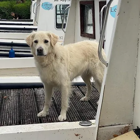 Leitrim Quay - Riverside 4 * County Leitrim