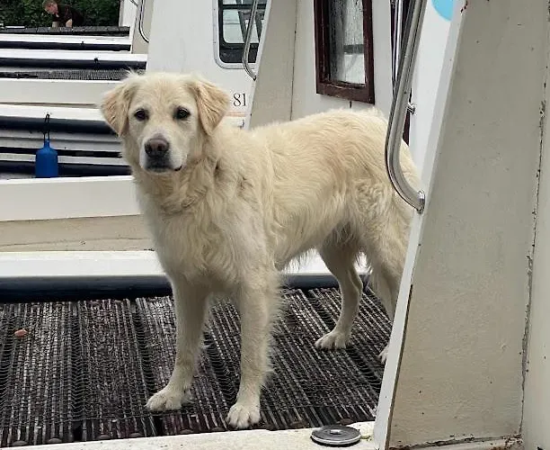 Leitrim Quay - Riverside 4 * County Leitrim